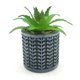 thumbnail image 1 of Planta Artificial Haworthia En Macetero De Cemento Negro, 1 of 3