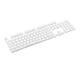thumbnail image 3 of Tapas de Teclas Transparentes para Teclados Mecánicos CHERRY MX, 3 of 3