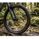 thumbnail image 2 of Neumático Maxxis Forekaster 29x2.40 Exo Tr Tubeless Mtb, 2 of 3