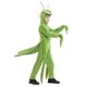 thumbnail image 3 of Disfraz de Mantis Religiosa para Niños Temporadas Talla S (4-6) Poliéster, 3 of 8