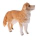 thumbnail image 5 of simulación animal modelo figura juguetes figurita decoración del hogar golden retriever, 5 of 5