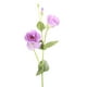 thumbnail image 2 of Vara Lisianthus púrpura 82 cm, 2 of 2