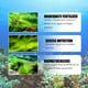 thumbnail image 5 of Alguicida para acuarios de 50 g, eliminador de algas para peceras, limpiador de agua para acuarios., 5 of 5