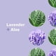 thumbnail image 3 of Spray Desinfectante De Manos Para Todos Lavanda Y Aloe 6 X 30 Ml, 3 of 4