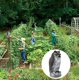 thumbnail image 4 of Búho espantapájaros Ruolan para asustar a los pájaros para el jardín, 4 of 7