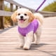 thumbnail image 4 of Playera sin Mangas para Perro Pet Life Active Aero-Pawlse Jaspeada, 4 of 8