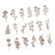 thumbnail image 3 of 18 Plantillas De Pintura De Flores Para Manualidades, Decoración De Pared, 3 of 5