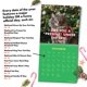 thumbnail image 5 of Calendar Raccoon Society El original P'd Off Cats 2025, 5 of 6