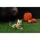 thumbnail image 3 of Figura de juguete Crazy Bonez Skeleton Cat 13 cm de altura, 3 of 4