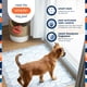 thumbnail image 3 of Alfombrillas absorbentes para cachorros Pet Life Unlimited 91 × 76 cm, 60 unidades, 3 of 7