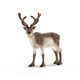 thumbnail image 1 of Colección Wild Life de Toy Schleich Reindeer 2024 para niños, 1 of 4