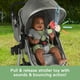 thumbnail image 3 of Peluche para cochecitos Fisher-Price Sea Me Bounce Turtle de 0 meses o más, 3 of 6
