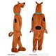 thumbnail image 2 of Disfraz Rubies Scooby‑Doo para niño – Talla mediana, 2 of 7
