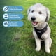 thumbnail image 3 of Arnés para mascotas Best Pet Supplies Voyager Step-in Lock Black M, 3 of 9