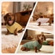 thumbnail image 5 of Pack de 3 camisas COOHAMS de punto gofrado para perros y gatos, 5 of 7