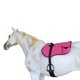 thumbnail image 3 of Almohadilla para montar sin silla Profesional Equine rosa de neopreno antideslizante, 3 of 6