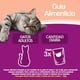 thumbnail image 5 of Alimento Húmedo Gato Adulto Sabor Salmón Pouch, 85 g, 5 of 8