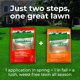 thumbnail image 5 of Fertilizante Greenview Fórmula Premium 16,3 kg Weed & Feed, 5 of 9