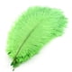 thumbnail image 1 of Venta al por mayor, 10 piezas de plumas de avestruz macho naturales, 25-30 cm/10-12 pulgadas, gran pelusa verde, 1 of 6