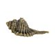 thumbnail image 2 of Mini Estatuilla De Artesanía De Cobre De Regalo Coleccionable De Concha De Latón Para Decoración De Escritorio, 2 of 5