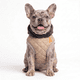thumbnail image 1 of Chaleco Rojo Perros Y Gatos S, 1 of 4