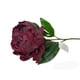 thumbnail image 2 of Flor Decorativa Peonia Brandy 45Cm, 2 of 2
