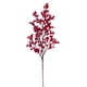 thumbnail image 1 of Spray para bayas Vickerman Red Petite Cluster, 24 cm, 3 unidades, 1 of 2