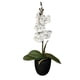 thumbnail image 1 of Planta artificial Orquidea 40 cm, 1 of 3