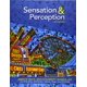 thumbnail image 1 of Libro Oxford University Press, EE. UU. Sensación y Percepción, 1 of 1