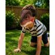 thumbnail image 5 of Mascara De Dinosaurio Interactiva Con Sonido Y Mandibula Movil, 5 of 6
