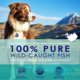 thumbnail image 2 of Suplemento Pet Health Omega 3 De Aceite De Pescado 1000 Mg, 2 of 8