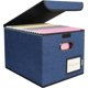 thumbnail image 1 of BALEINE File Organizer Box with Lid, Collapsible Hanging File Box, 1 of 3