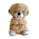 thumbnail image 3 of Muñeco De Peluche De Nutria Marina, Juguete De Bebé De Peluche Suave Para Coleccionables, Fiesta Temática, Marrón, 3 of 3