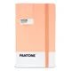thumbnail image 1 of Libreta Pantone Grande Con Elástico Vertical Lineada coral, 1 of 3