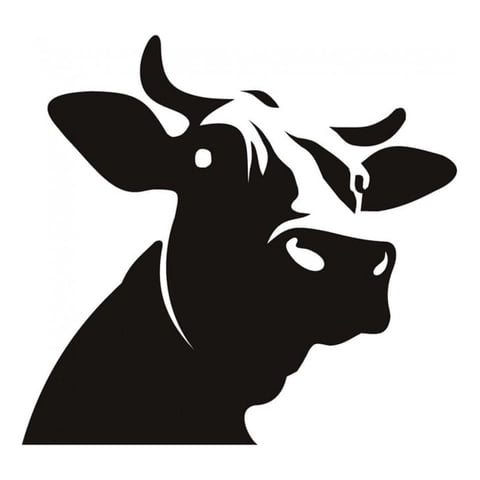 Rienda Libre Graphics - Decomural Dairy Cow Head Farm Animals Ws-16140