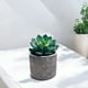 thumbnail image 3 of Maceta de cemento cobre/gris 11 cm, 3 of 3