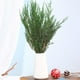 thumbnail image 2 of Ramas de pino real preservadas, agujas de pino naturales de 43 cm, plantas verdes, tallos de pino de 95 g, púas de pino perenne para guirnaldas navideñas, decoración del hogar, bodas y arreglos floral, 2 of 8