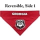 thumbnail image 3 of Pets First Collegiate Pet Accessories, Bandana Reversible, G, 3 of 3