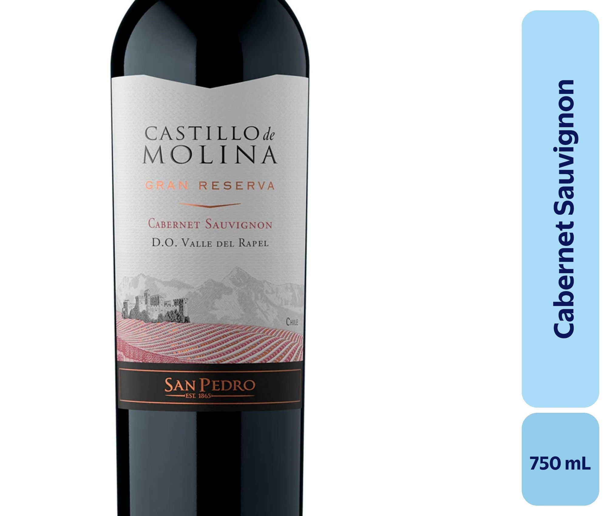 Vino Cabernet Sauvignon Botella 750 mL Castillo Molina