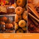 thumbnail image 2 of Cápsulas de cera Scentsationals 24 piezas Fiesta de Calabaza 10 oz, 2 of 8