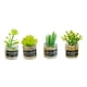 thumbnail image 2 of 4 Uds Escala 1:12 Casa De Muñecas Plantas En Miniatura Modelo Pequeño Bonsái Para Casa De Muñecas Estilo B, 2 of 5
