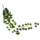 thumbnail image 2 of 96cm Vines Artificiales Garland Verdor Bodas Telón de fondo Decoración de pared Sandía, 2 of 5