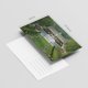 thumbnail image 2 of Postales Dear Mapper 20 unidades/juego 10 × 14,8 cm Delaware, 2 of 6