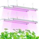 thumbnail image 1 of Lámpara LED de cultivo TYAGMAM, 2 pies, T8, 100 W (4 x 25 W, equivalente a 600 W), 1 of 6