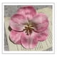 thumbnail image 4 of Flores Artificiales Suxumhao Tulipanes Rojos 15 Pzas, 4 of 5