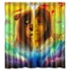 thumbnail image 1 of Cortina de ducha Brother Bear, juego de cortinas de baño con ganchos, tamaño 66 x 72 pulgadas, 1 of 3