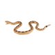 thumbnail image 5 of Coleccionista De Juguetes De Figuras De Serpientes De Plástico Para Ni?os, Relleno De Bolsas, Regalo, Serpiente De Cascabel, 5 of 5