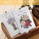 thumbnail image 3 of Ambientador de lavanda MYARO en bolsitas perfumadas, 12 paquetes, 3 of 8