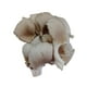 thumbnail image 2 of Champiñon Ostra Bandeja, 300 g, 2 of 3