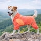 thumbnail image 5 of Suéter para perro Pet Life ® Active Downward-Dog, de cuerpo completo, fitness, 5 of 9